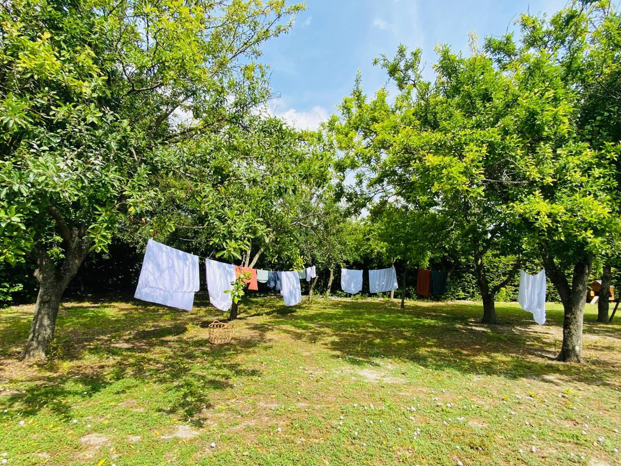 L'Ecrin De Verdure Ligre Exterior photo