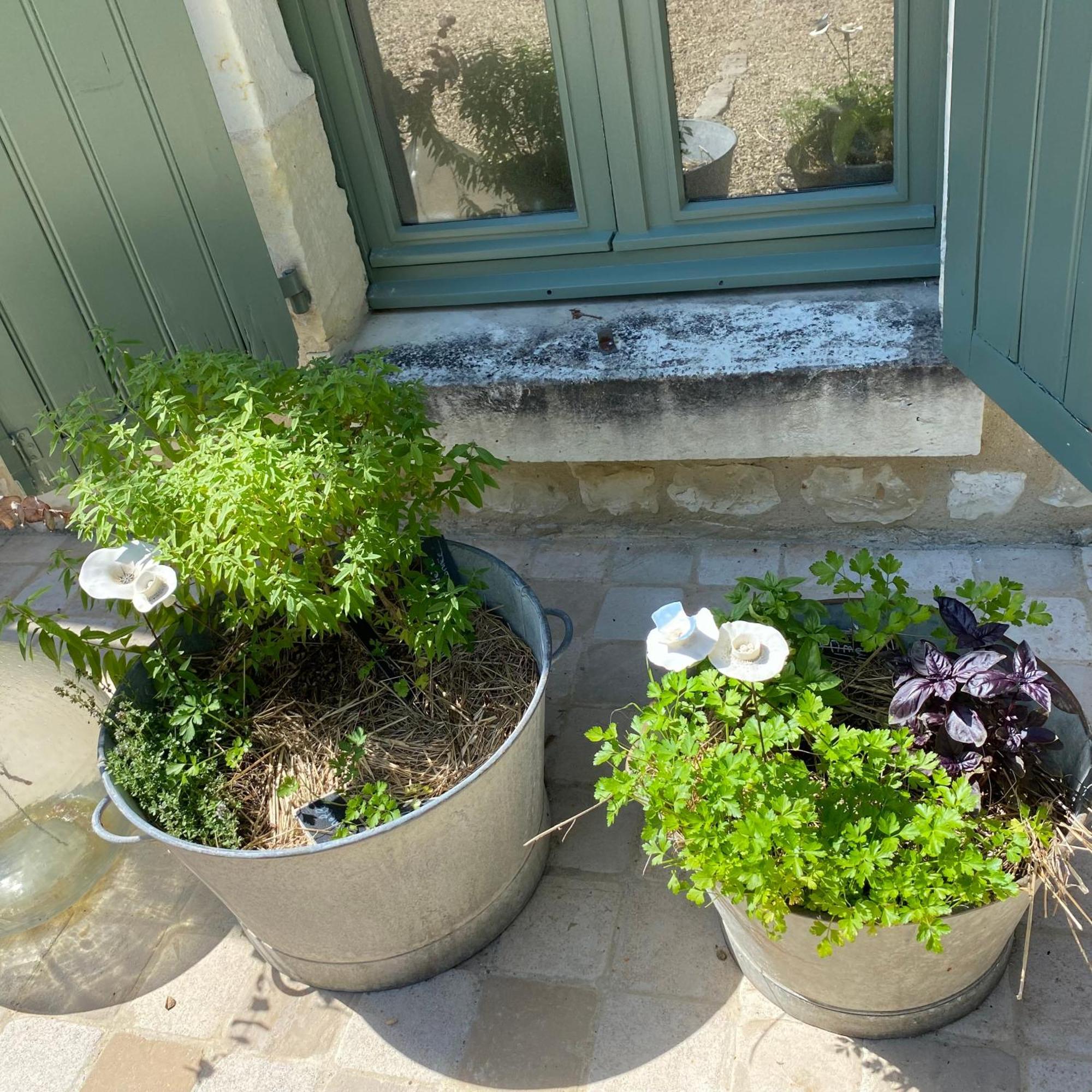 L'Ecrin De Verdure Ligre Exterior photo